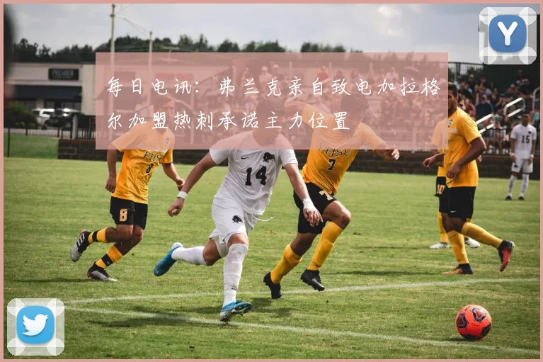 每日电讯：弗兰克亲自致电加拉格尔加盟热刺承诺主力位置