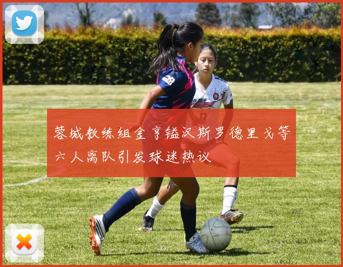 蓉城教练组金亨镒汉斯罗德里戈等六人离队引发球迷热议