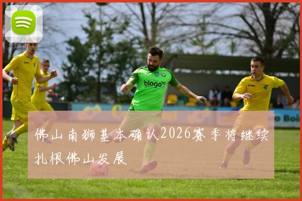 佛山南狮基本确认2026赛季将继续扎根佛山发展